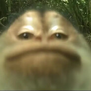HAKKE MORGAN
