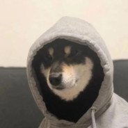 蝴蝶形状的小学