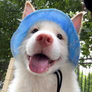 勇敢牛牛不怕困难