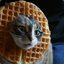 Cat Waffle