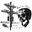 X-Ray avatar