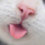 Miensky
