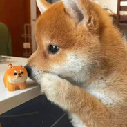 与时舒卷