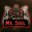 Mr.  SouL