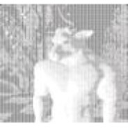 MINOTAUR_DANGEROUS_EXEC