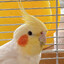 LIUKASI