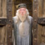 Albus Doubledoors