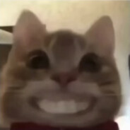 可以被導管姐姐射嗎