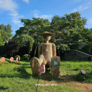 网恋露牛被录屏