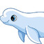 BlueBeluga26