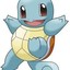 Squirtle Haven