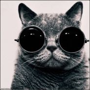 sQuzeee[e] - steam id 76561197971690222