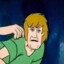 Shaggy_Dude