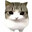 MatRed_