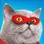 Supercat