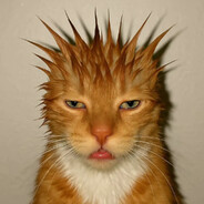 变态小子今晚来你家