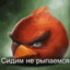 Сидим не рыпаемся