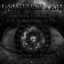 Downloads