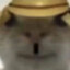 狡猾
