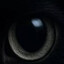 Avatar of player Инфантильное Чмо