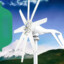 2000w Domestic Wind Turbine