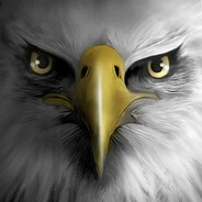 ♔ИБРА♔ - steam id 76561199107547390