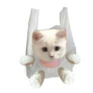 反光超滑白袜男仆小航