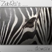 ZebRa '!'