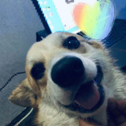 你的眼神