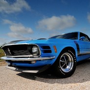 爱着那个坏姑娘