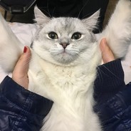 芒果香蕉奶