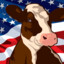 USA COW