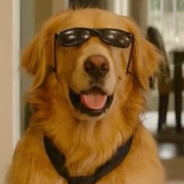 Finbar