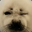 ¤Seal¤