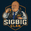 1cicle