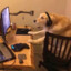 Gaming Dog