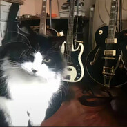 宇宙无敌霹雳暴龙兽