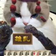 贝蒂小熊，乱世不败