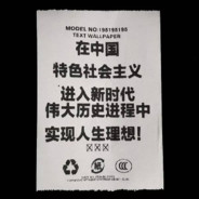 白饭鱼_白雪雪滑捋捋