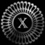 X-RAY82290