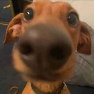 和她看一万次海