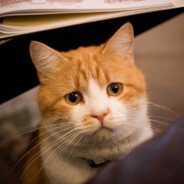 シュウ　センイチ