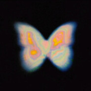 电子蝴蝶