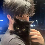 羊村扛把子懒羊羊