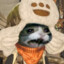 Kanilus