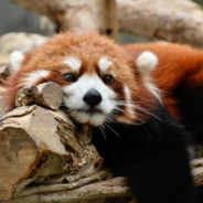 JuuzouSan` - steam id 76561198157530581