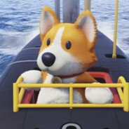 真的好想玩动物派对哇