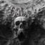 NEKRON