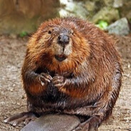 Владик пивовоз