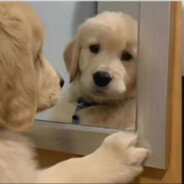 我与春风皆过客